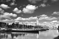 Rotterdam Vuurplaat haven