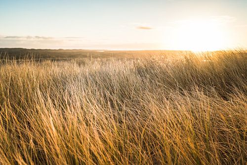 Zonsopkomst boven de Nederlandse duinen aan de Noordzee kust