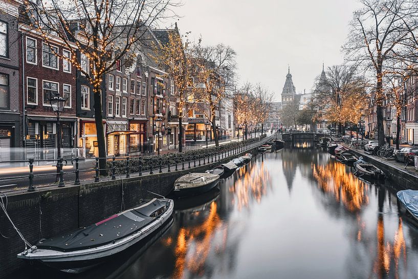 Winterslaap van Een Wasbeer