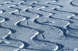 Signature Lines by Fabrizio Gallo