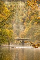 Le brouillard se dissipe au matin