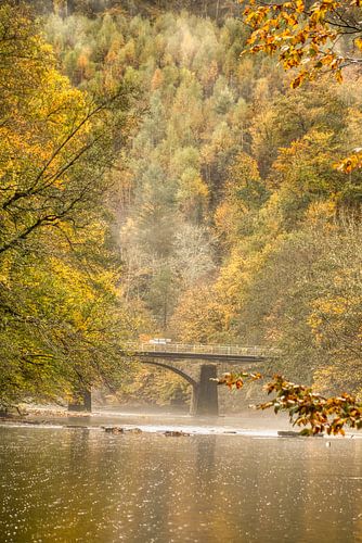 Clearing fog in the morning