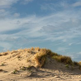 Dunes sur Goeree-Overflakkee sur Irene Lommers