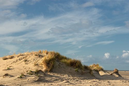 Dunes on Goeree-Overflakkee