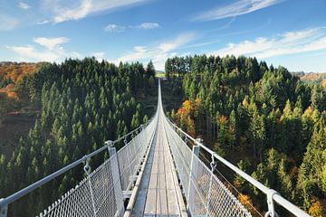 Geierlay hangkabelbrug over de Hunsrück in Rijnland-Palts van Markus Lange