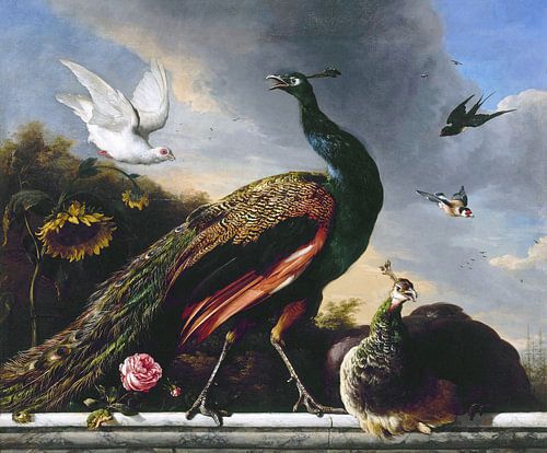 Pauwen, man en vrouw, Melchior d'Hondecoeter