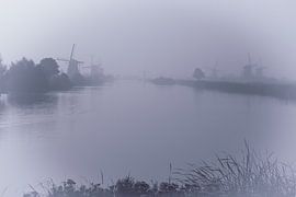 Molens in de mist