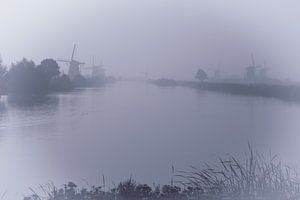 Molens in de mist