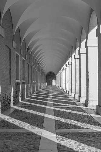 Arc