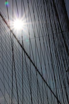 Cables of the Brooklyn Bridge van Brenda van der Hoek