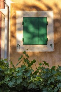 Grün und Ocker in Roussillon, Provence