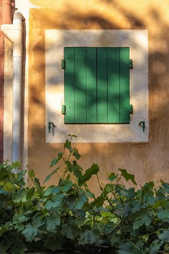 Groen en oker in de Roussillon, Provence