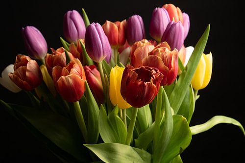 Tulpen