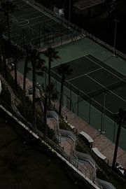 Jeu de l'herbe sur Notshowy