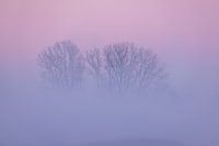 a winter morning