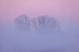 un matin d'hiver sur Gerlanda