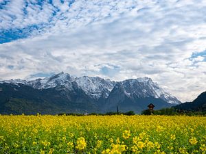 Blick zur Zugspitze bei Farchant
