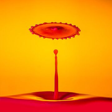 Oranje druppel splash van Gig-Pic by Sander van den Berg