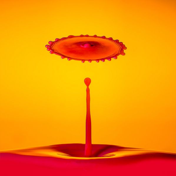 Orange drop splash by Gig-Pic by Sander van den Berg