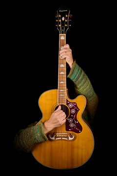 Artistiek Gitaar van Wilfried Roovers