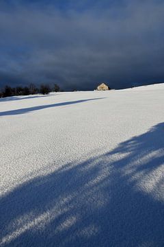 Een veld in de winter in de vroege ochtend van Claude Laprise