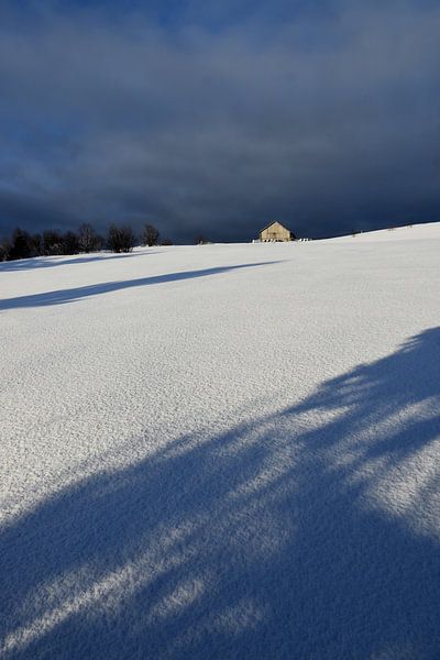 A field in winter in the early morning by Claude Laprise