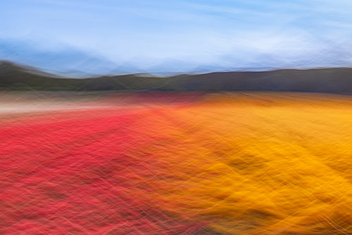 Waves of Spring