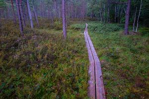 Finlande