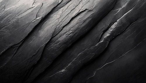 Schilderen met zwart en wit