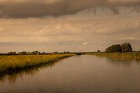 Donkere wolken met avondzon