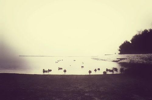 Het meer 