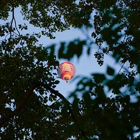 Een lichtpunt in het donker van Kim Leen