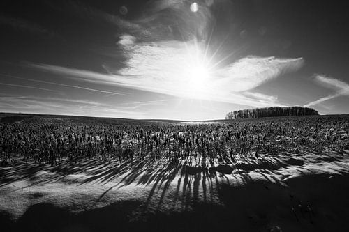 Winterliches Aussehen eines Feldes