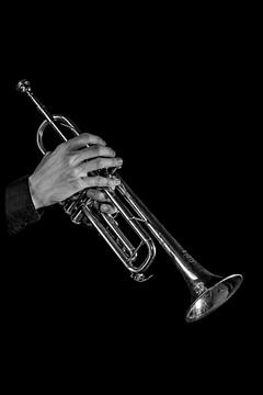 Trompet van Hans van Kilsdonk Fotografie