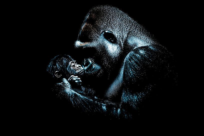 Gorilla and baby in tender embrace by Imperial Art House