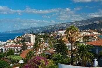 December Magic in Puerto de la Cruz