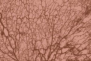 Die Seele des Waldes Warm Beige Braun