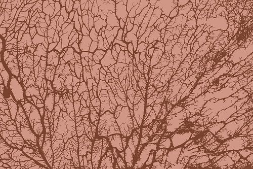 De ziel van het bos Warm beigebruin