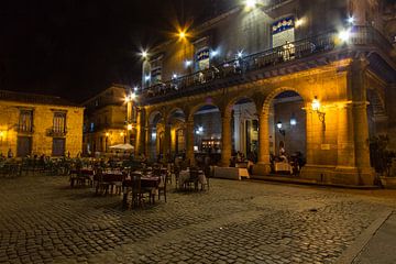 Nachtportret van Havanna