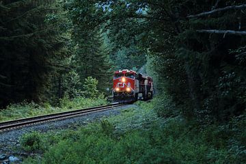Canadese trein kruist een bos by Carin van der Aa