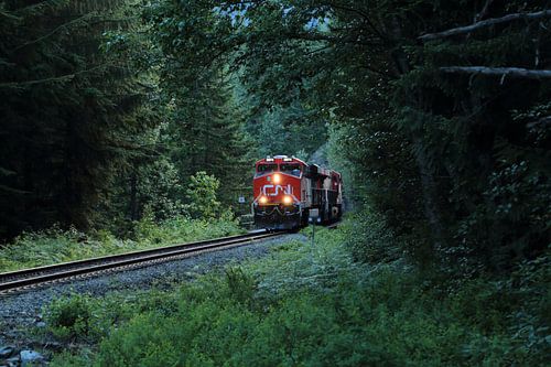 Canadese trein kruist een bos