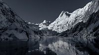 Fjord beautiful and very cold