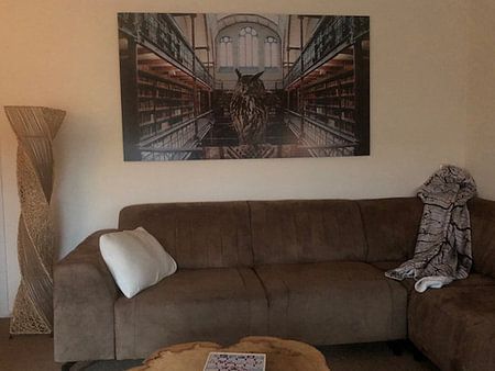 EULE - Bibliothek des Rijksmuseum Amsterdam