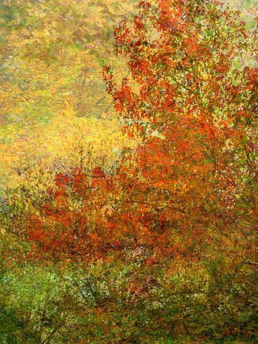 Der rote Baum im Wald