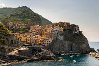 Cinque Terre van Damien Franscoise thumbnail