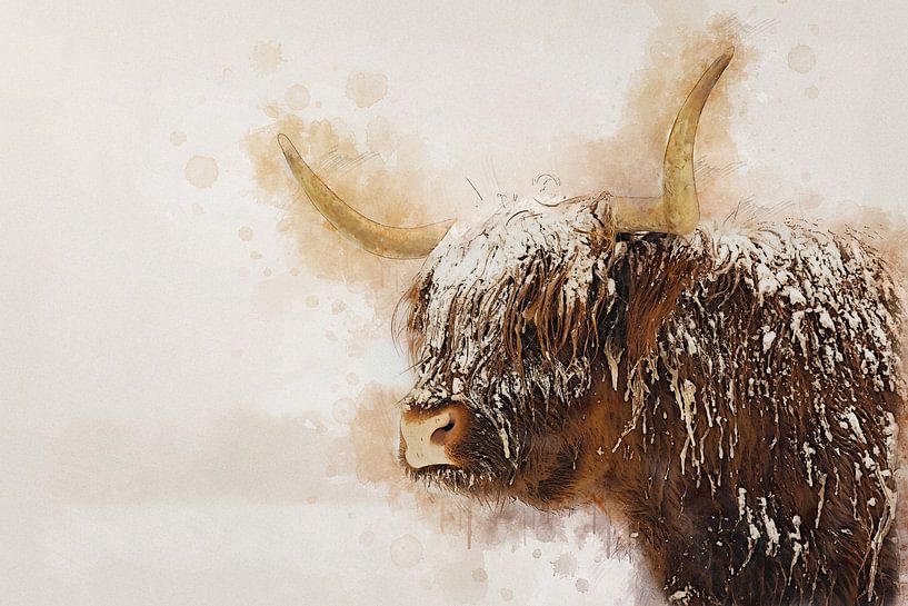 Schottischer Highlander von Bert Quaedvlieg