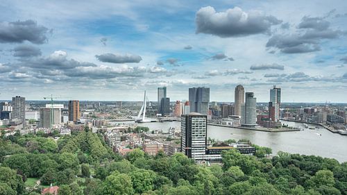 Rotterdam Skyline