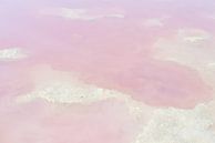 Roze water in het zoutmeer van Torrevieja, Spanje par Anki Wijnen Aperçu