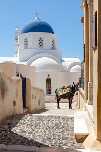 Straat in een dorp op het Griekse eiland Santorini, met wit blauwe kerk en ezel.