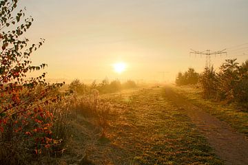 Herfstdag met zonsopkomst en ochtendmist van Saskia Smulders